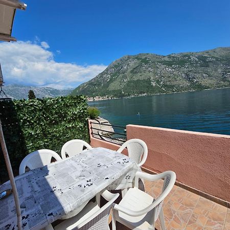Apartmani Markovic Kotor Rum bild