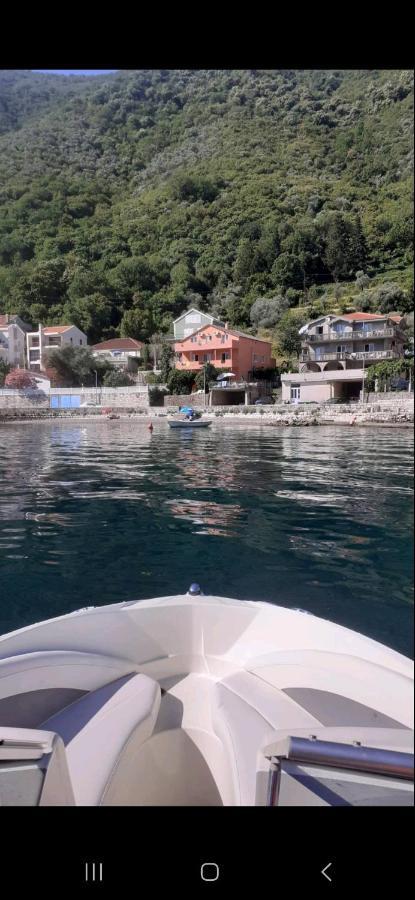 Apartmani Markovic Kotor Exteriör bild