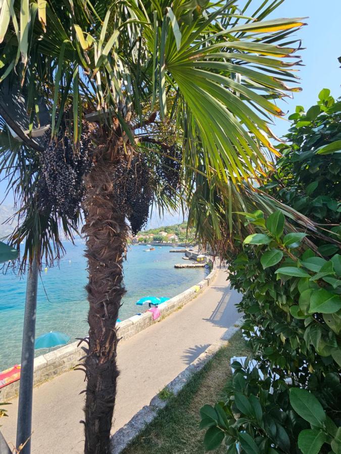 Apartmani Markovic Kotor Exteriör bild