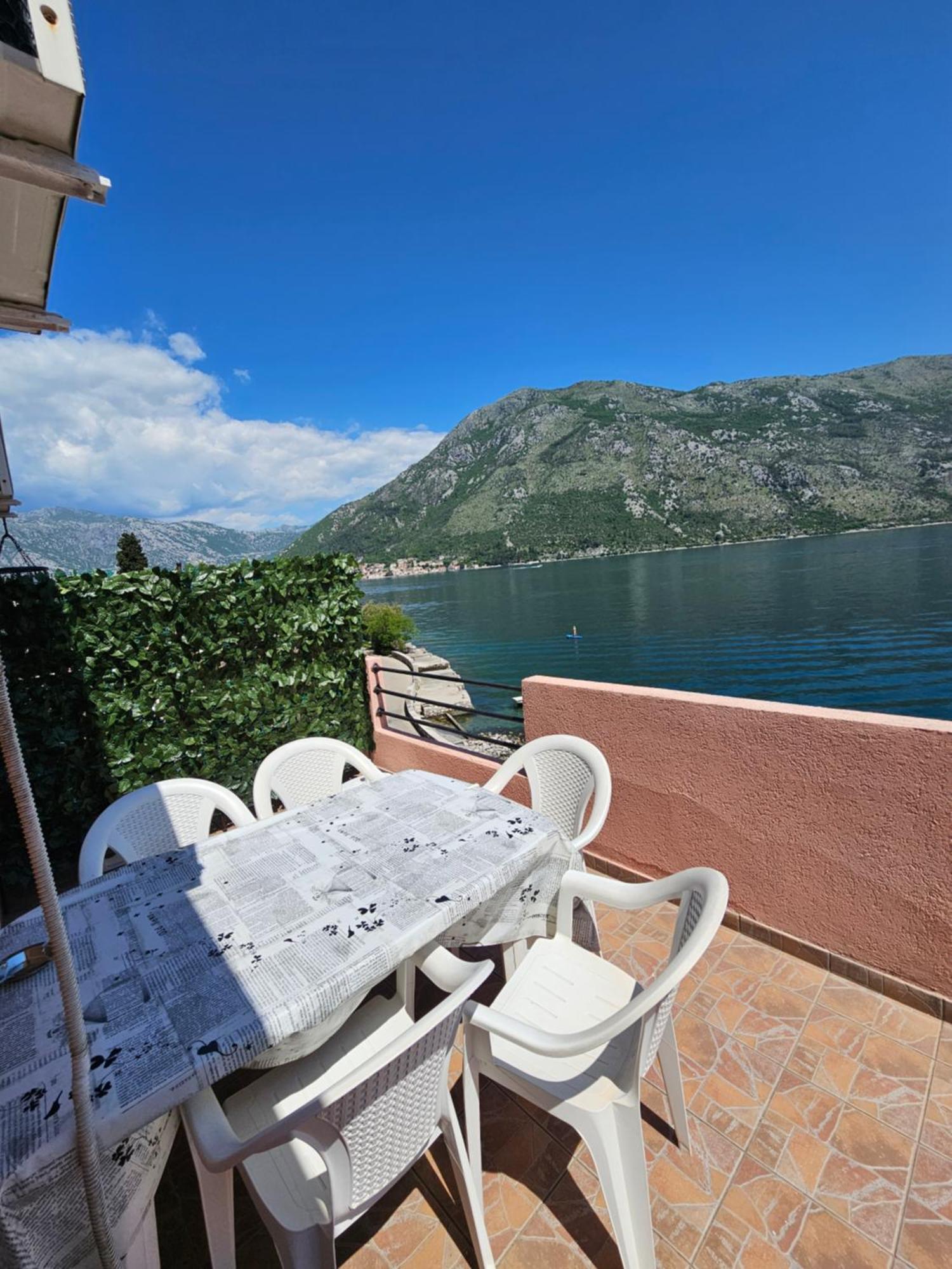 Apartmani Markovic Kotor Rum bild
